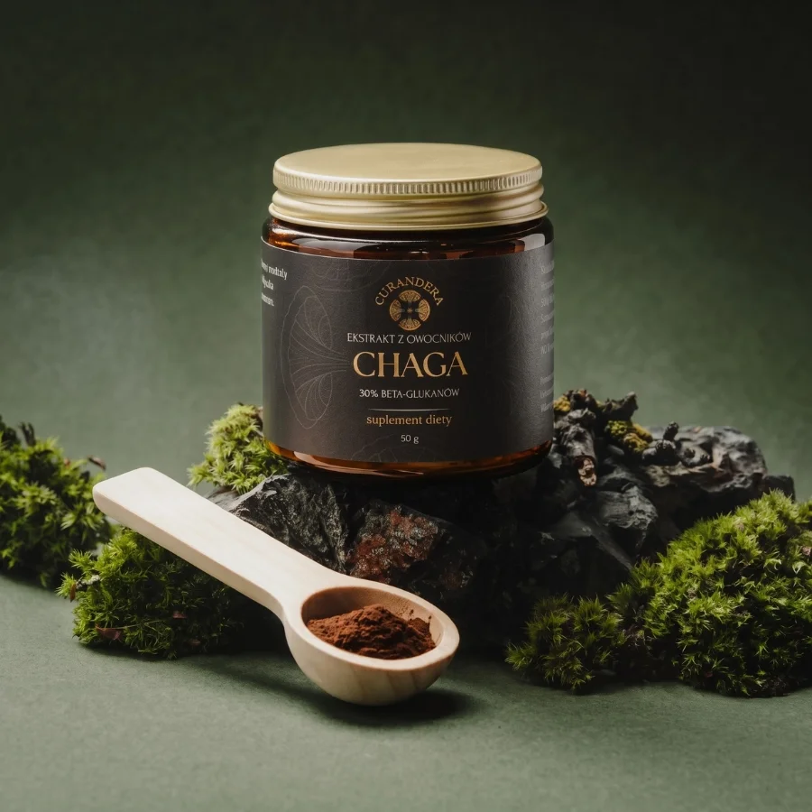 Chaga