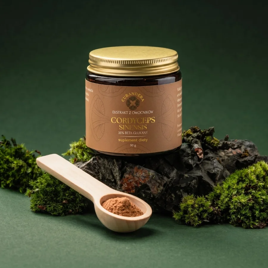 Cordyceps