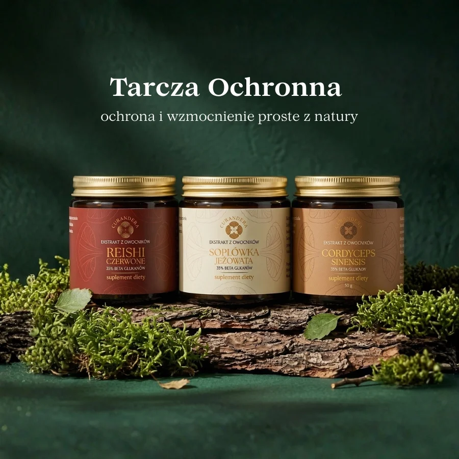 Tarcza Ochronna